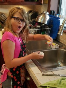 19667479_10213435779666595_2498763028725788759_o